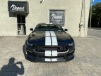 Thumbnail Photo 3 for 2017 Ford Mustang Shelby GT350 Coupe